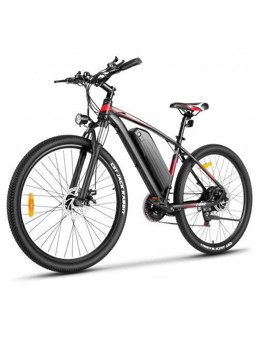Gocio 500W Electric Bike with Cruise Control Syste...