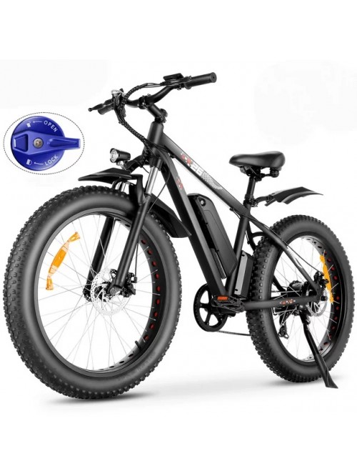 Electric Bike, 26